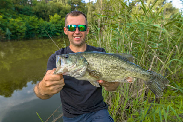 soft plastic baits